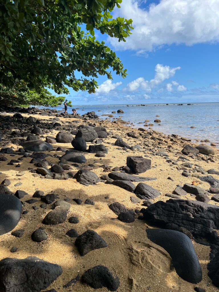 Beach at bottom of the Princeville hike. 