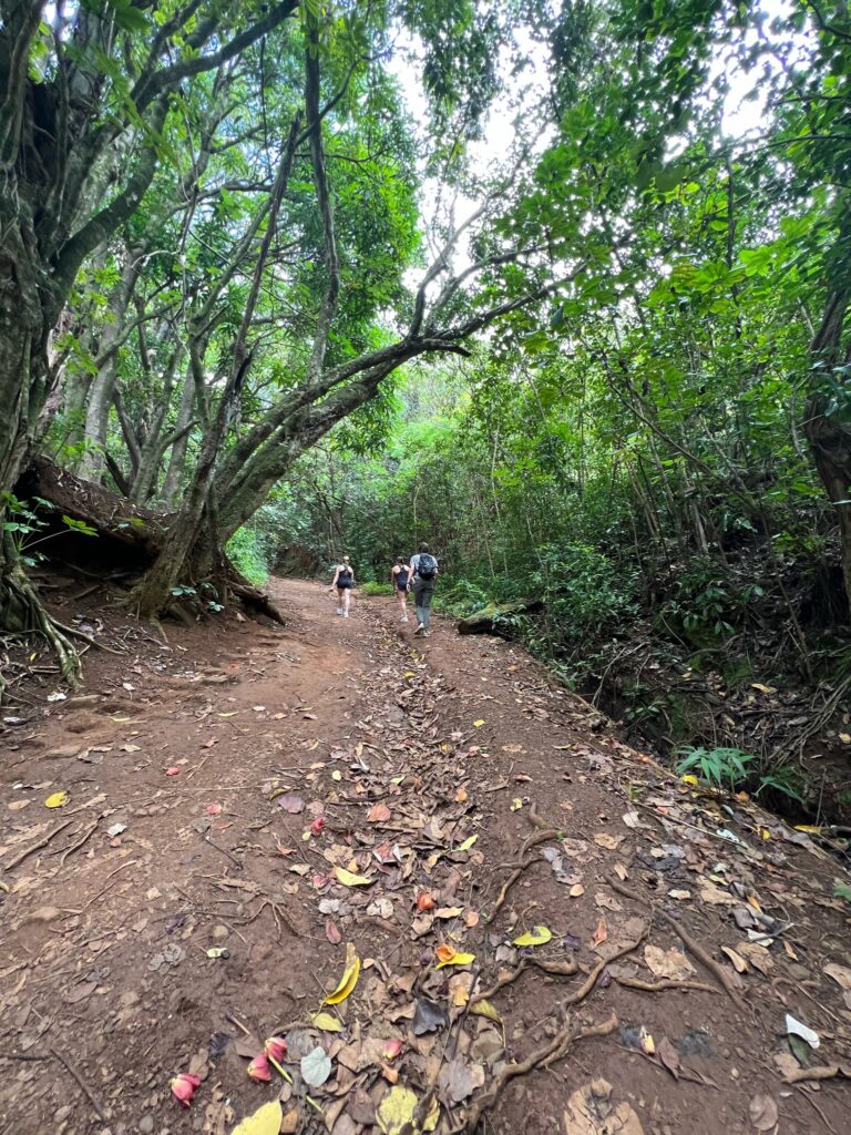 Princeville hiking trail. 