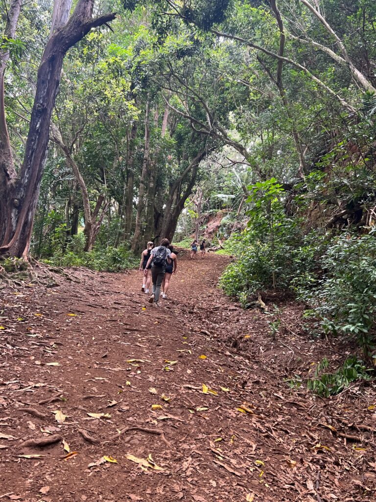 Princeville hiking trail uphill view.